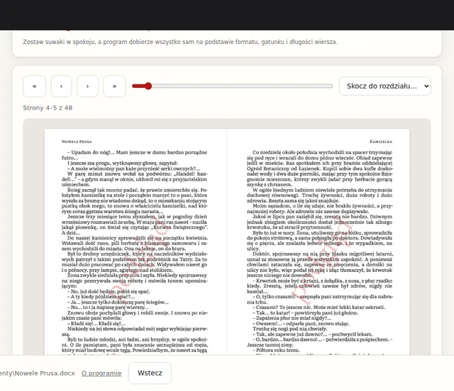 Podgląd złożonej książki